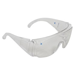Zions Visitors Safety Glasses Clear Lens